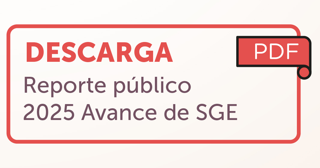 Reporte Público 2025