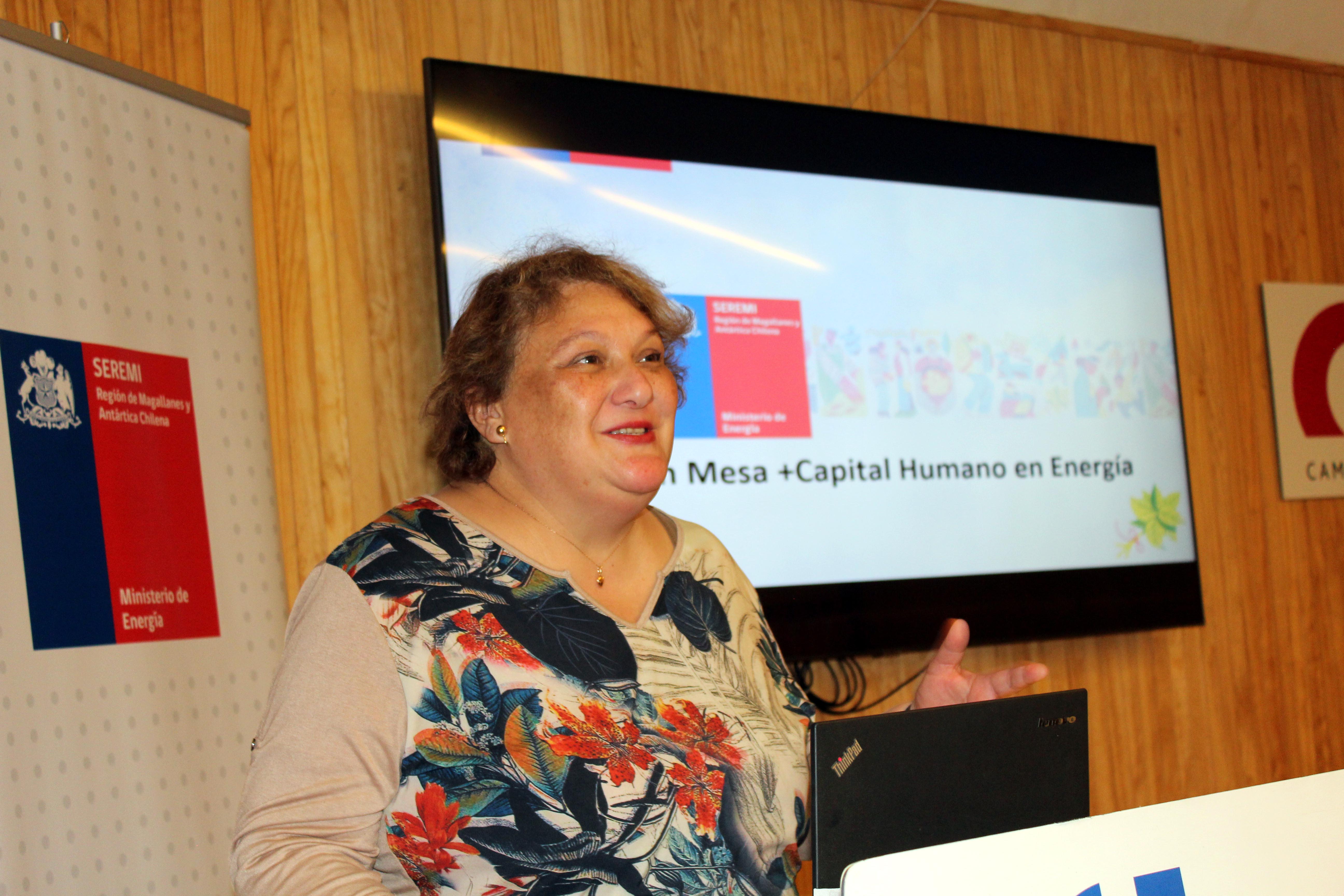 Mesa de Capital Humano en Energía de Magallanes pondrá acento en fortalecer el “triángulo virtuoso” entre el sector público, la academia y el mundo privado