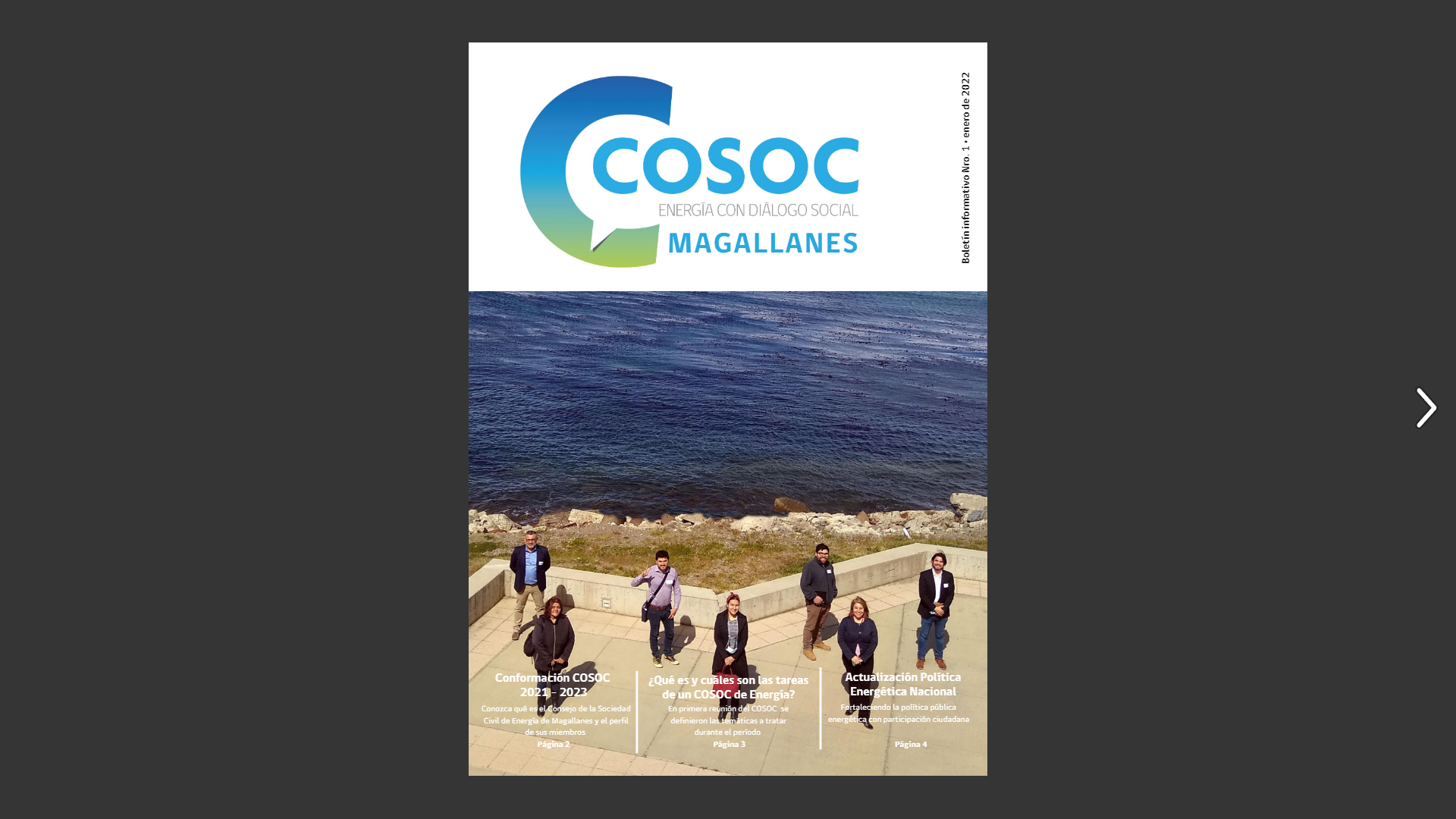 Iniciativa pionera: COSOC de Energía de Magallanes estrena su primer boletín informativo 