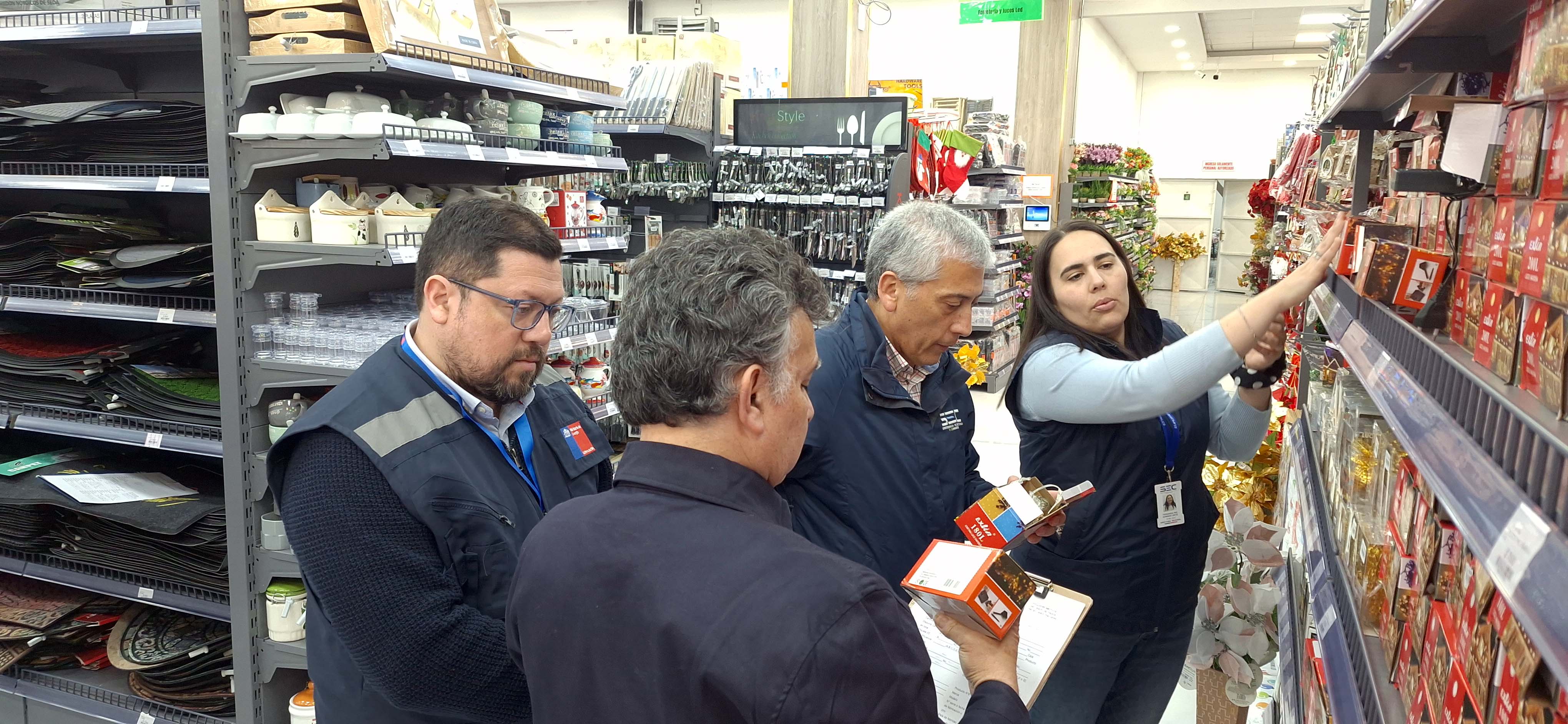 SEC Magallanes y Seremi de Energía fiscalizan artefactos lumínicos a semanas de iniciar las fiestas navideñas 