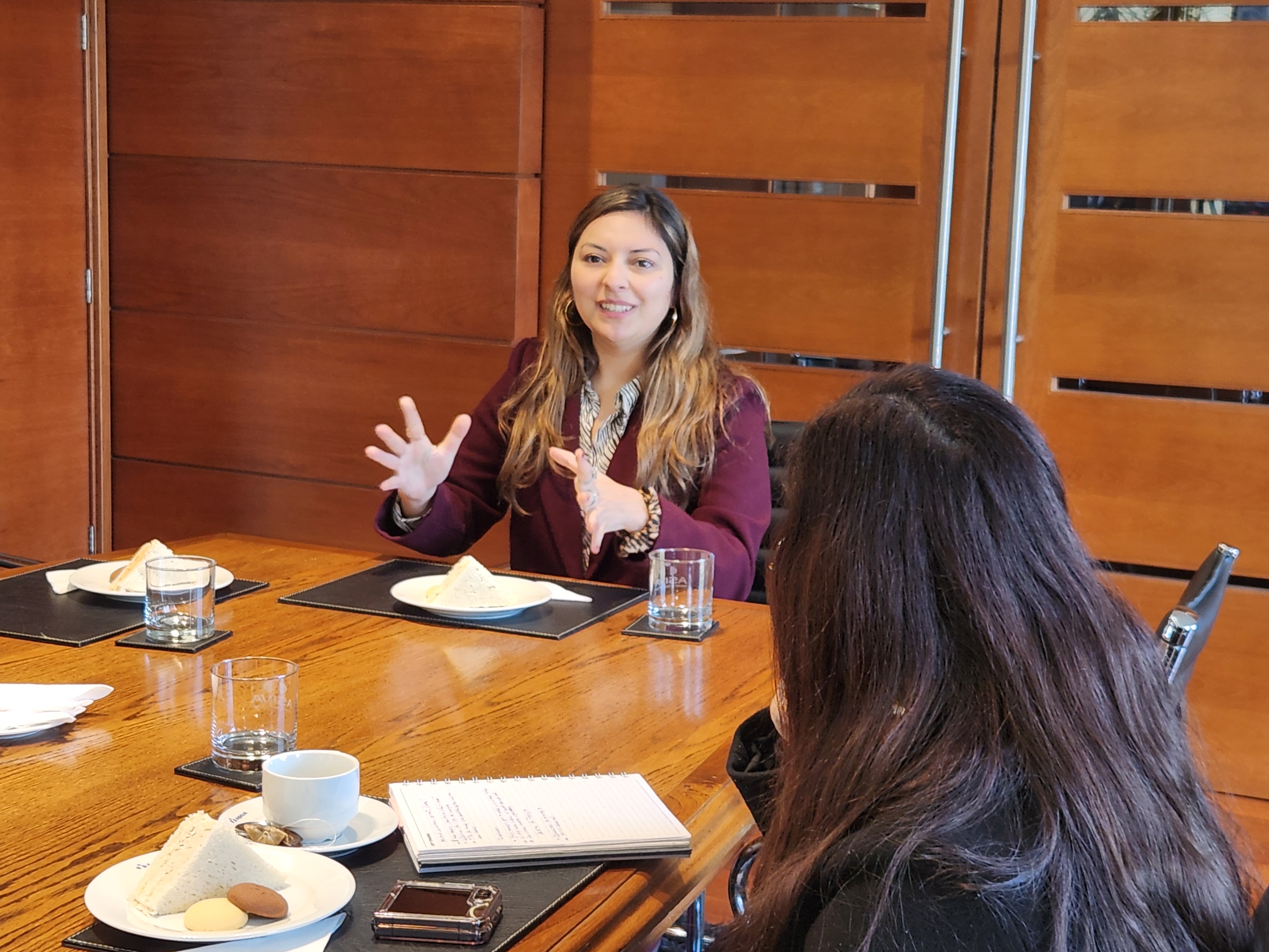 Oportunidad de financiamiento para Auditorías Energéticas en Medianas Empresas