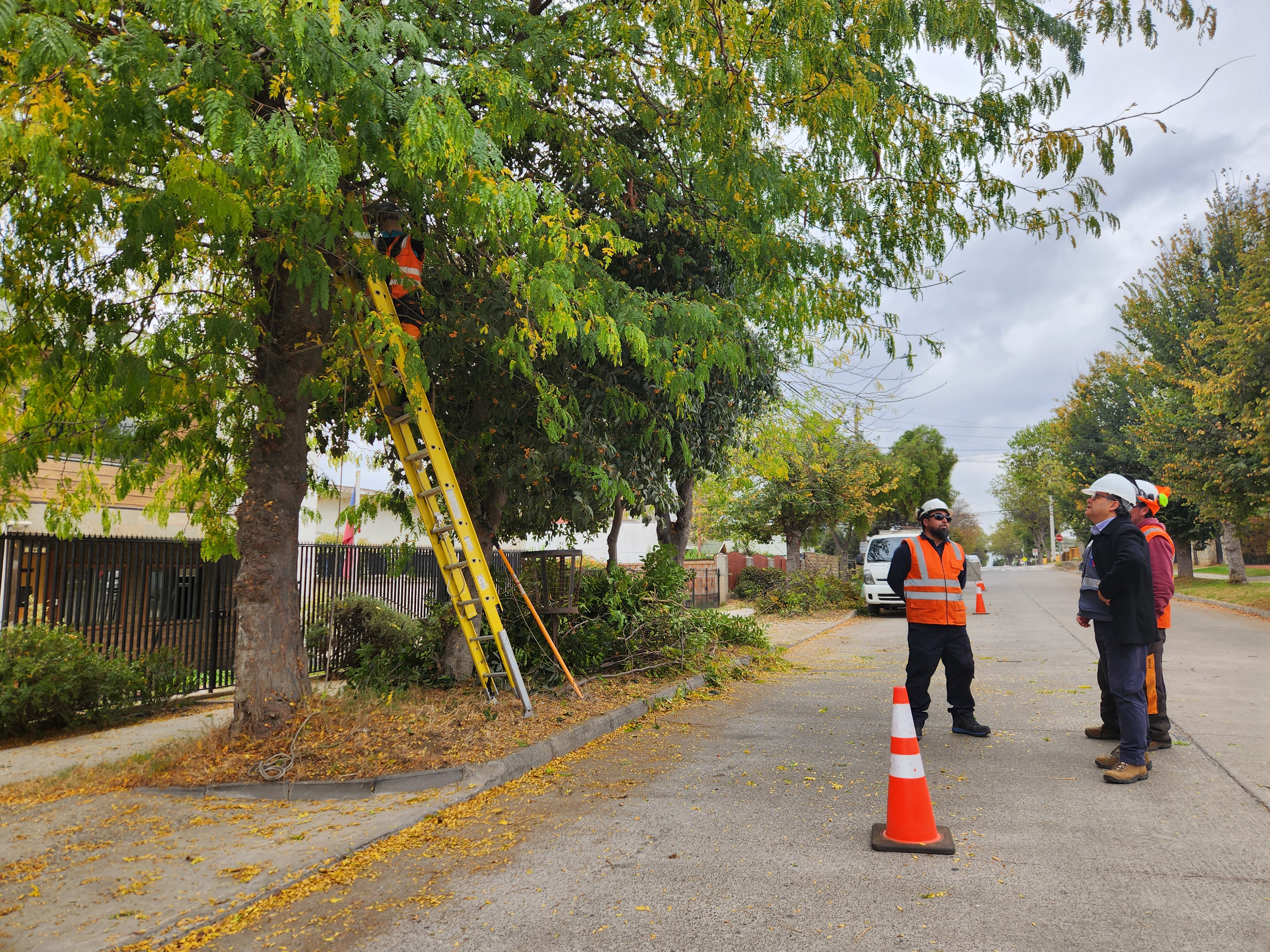 Seremi de Energía verifica faenas de poda preventiva en Concón y La Ligua junto a empresas distribuidoras