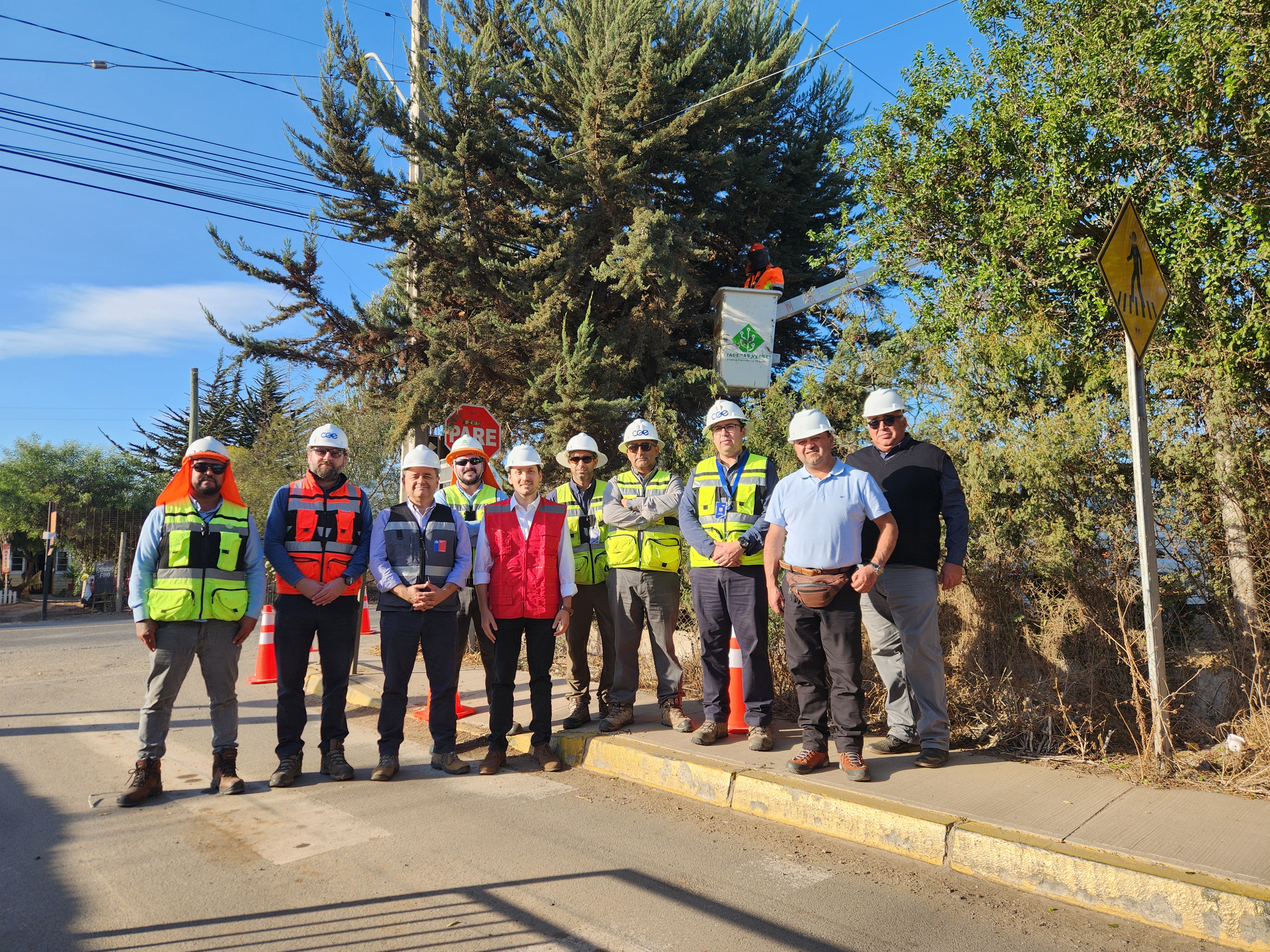 Seremi de Energía verifica faenas de poda preventiva en Concón y La Ligua junto a empresas distribuidoras