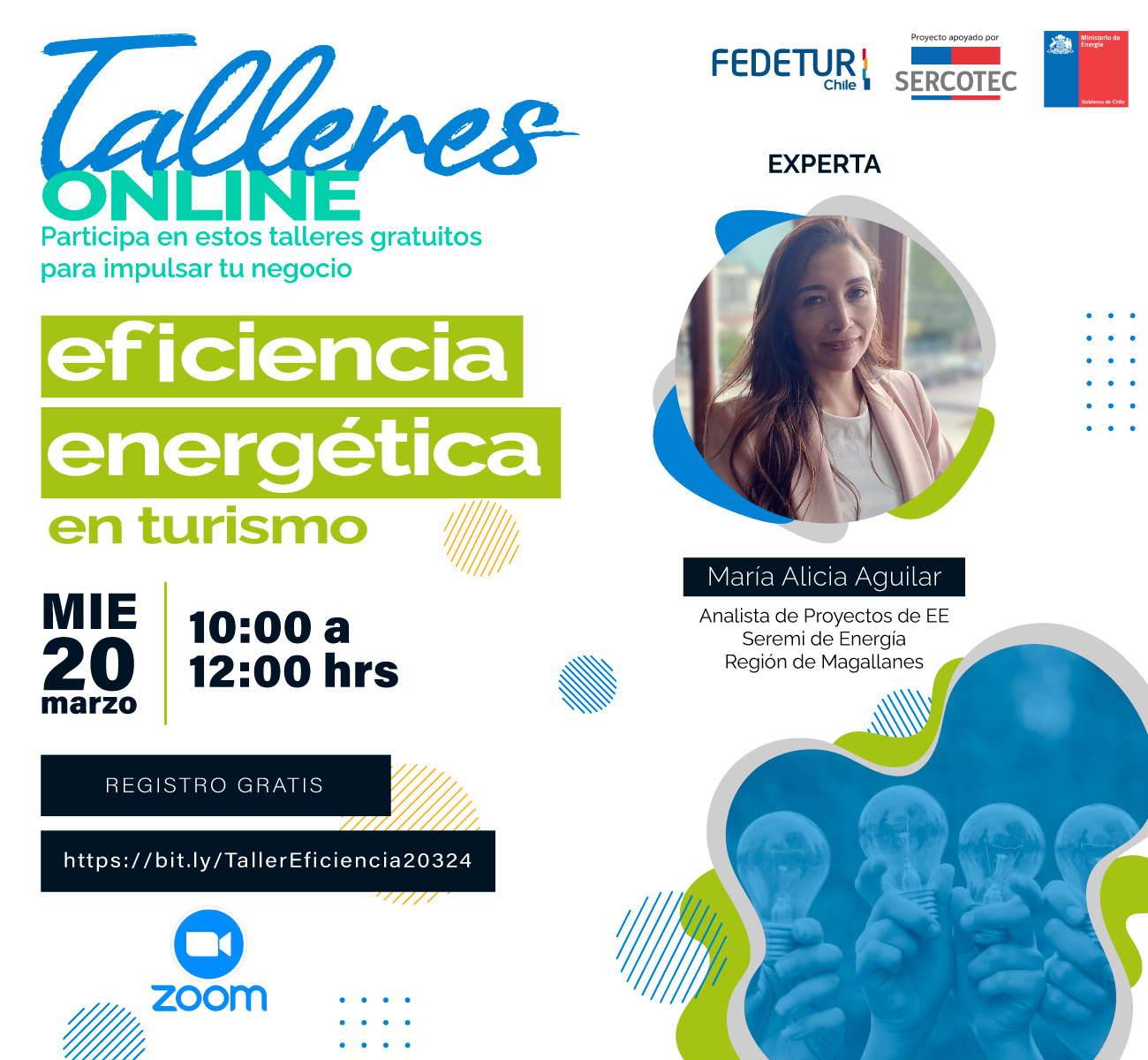 Secretaría Regional de Energía de Magallanes dicta primer taller on line sobre eficiencia energética para el sector turismo