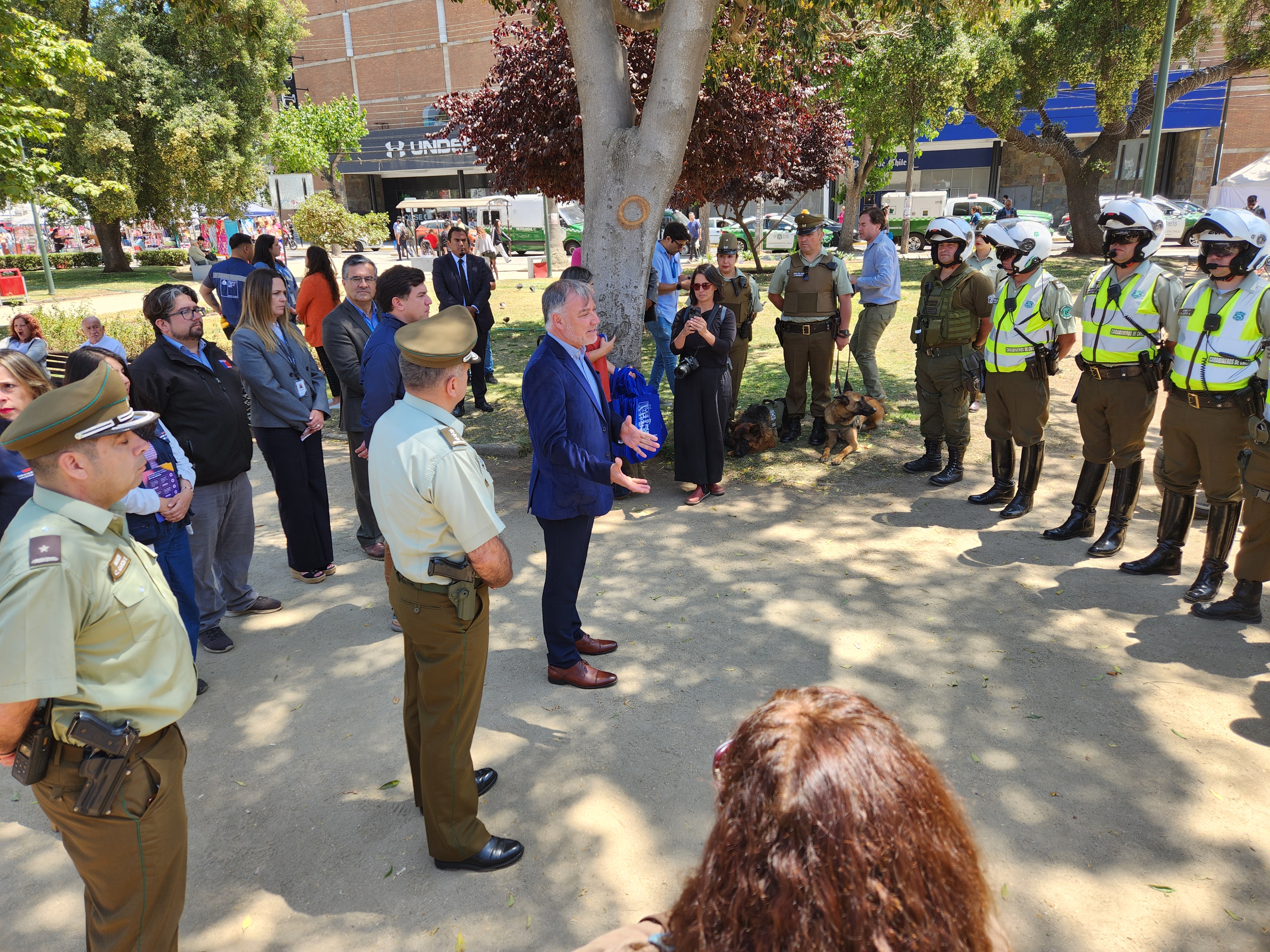 Servicios de Gobierno y Carabineros se despliegan en terreno para fiscalizar y reforzar la seguridad en ferias navideñas y zonas comerciales