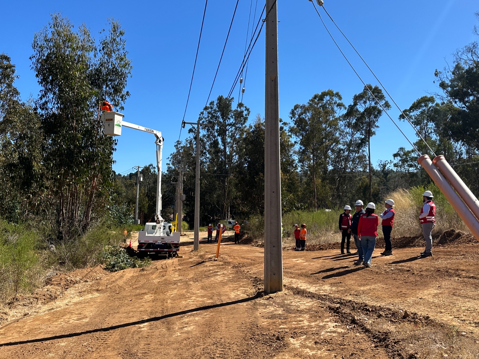 Subsecretario de Energía realiza inspección en Valparaíso para verificar despeje de líneas eléctricas