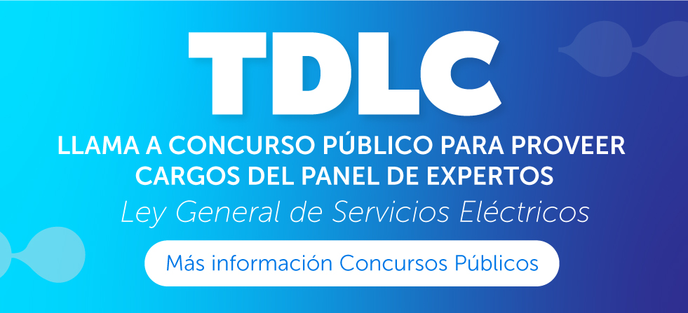 Concurso Público Panel de Expertos 