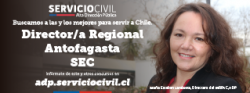 Director/a Regional Antofagasta
