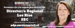 Director/a Regional Los Ríos