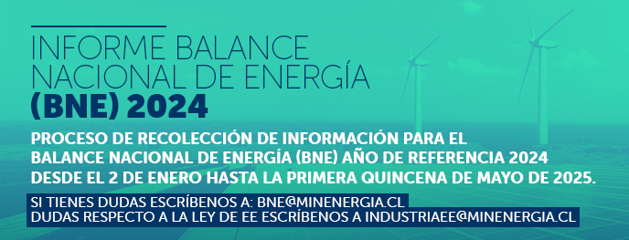 Informe Balance Nacional de Energía (BNE) 2024