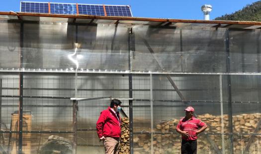 Programa Leña Más Seca benefició con equipamiento y tecnología a comerciantes para aumentar oferta de leña y disminuir la contaminación 