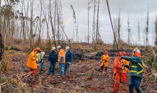Planes de Invierno de empresas eléctricas de Los Ríos  superan los 2 mil 500 millones de pesos