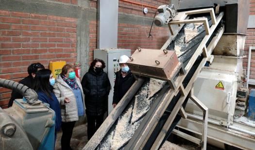 Seremi de Energía y su par de Economía visitan planta de producción de pellet de Punta Arenas