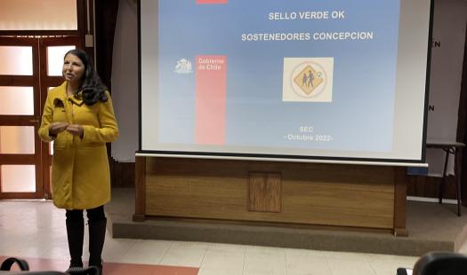 Profesionales de Andalién Sur y sostenedores de establecimientos educacionales se capacitaron en Sello Verde