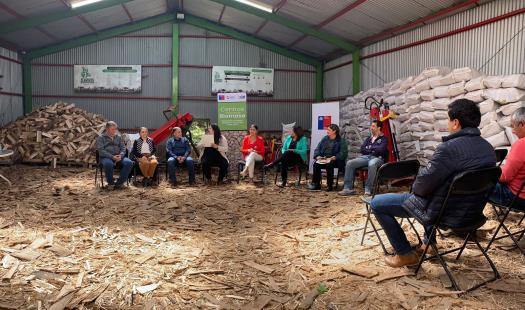 Región del Biobío contará con nuevos Centros Integrales de Biomasa