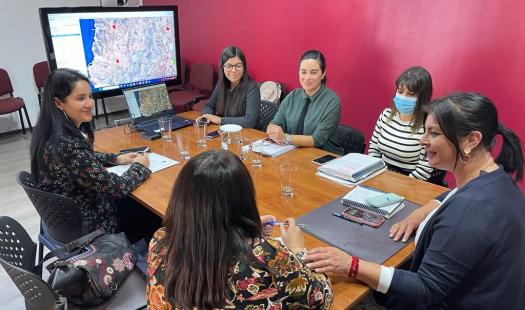 Atacama: Presentan plan de asignación de terrenos fiscales para proyectos de almacenamiento de energía