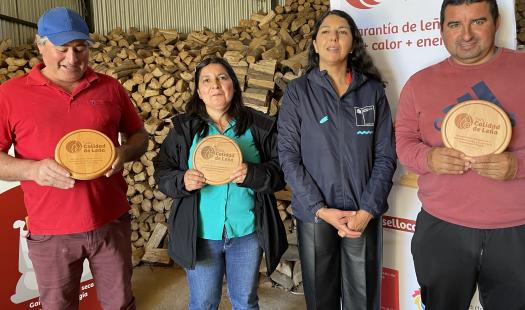 Seis nuevos comerciantes de la Provincia de Concepción se suman al Sello Calidad de Leña 