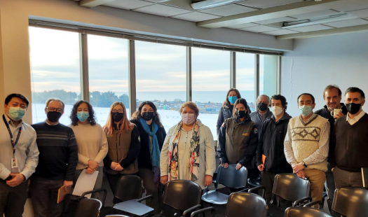 Equipos técnicos del Ministerio de Agricultura de Magallanes se capacitaron con la Seremi de Energía sobre hidrógeno verde  