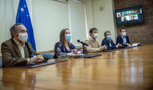 Ministerio de Energía y Gobierno Regional de Magallanes fortalecerán coordinación público - privada en pilares clave de la Estrategia Nacional de Hidrógeno Verde