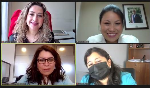 Mesa Energía Más Mujer sesionó buscando incorporar a más mujeres en el sector energético