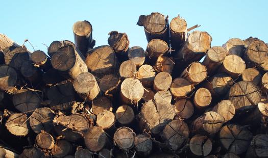 Ministerio de Energía financiará mejoramiento de maquinaria y equipamiento a productores de leña por más de $1.343 millones 