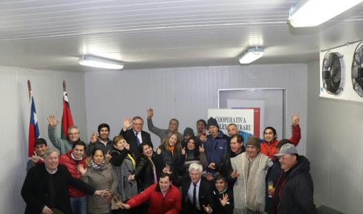 El arte de transformar el sol en frío