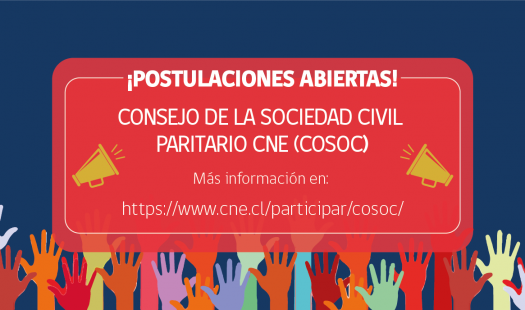 CNE convoca a postular a su 1er. Consejo de la Sociedad Civil Paritario