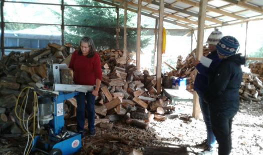 Enfoque de género en el Programa Más Leña Seca