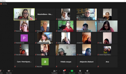 Programa Con Buena Energía: Masiva capacitación virtual sobre el correcto uso de la energía en el hogar reunió a 70 mujeres PRODEMU