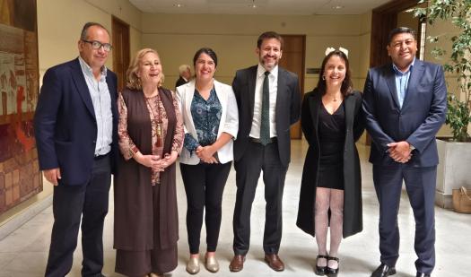 Ministerio de Energía presentará indicación a proyecto de subsidio eléctrico para implementar instalación masiva de paneles solares en todo Chile