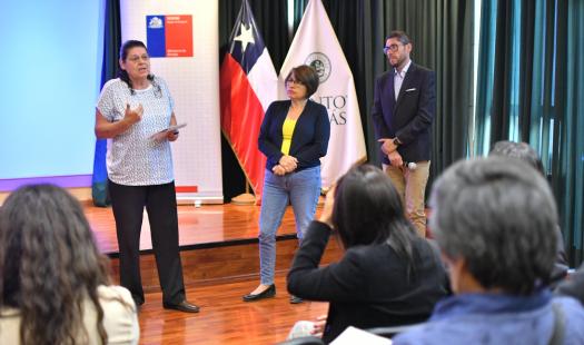  COSOC Tarapacá abarca el fortaleciendo ciudadano en la Gestión Pública