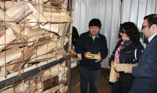 Concluye programa para centros de acopio y secado de leña