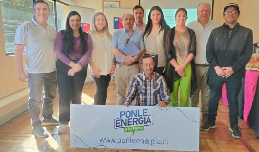  Empresas de la Provincia de Biobío fueron premiadas con Programa 'Ponle Energía a Tu Pyme'