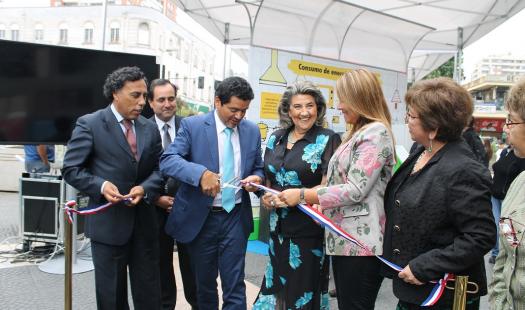 Módulos de Eficiencia Energética llegaron a Viña del Mar