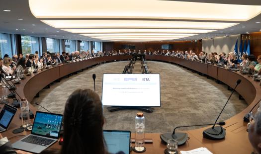 Chile presente en el 25° Taller Anual sobre Comercio de Emisiones de Gases de Efecto Invernadero