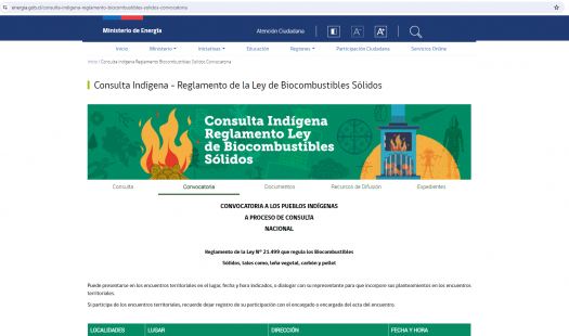 Secretaría Regional de Energía de Magallanes realizará Consulta Indígena en el marco de la confección del Reglamento de la Ley de Biocombustibles Sólidos