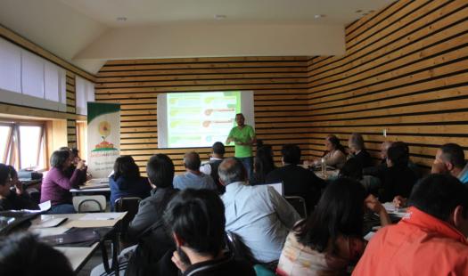 Realizarán Taller en Dalcahue de participación ciudadana para desarrollar un diagnóstico energético de la comuna