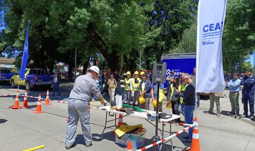 Ministerio de Energía y SEC Ñuble participaron de Feria de Seguridad en El Carmen