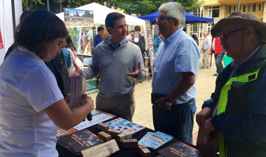 Promueven la compra temprana de leña seca para este invierno