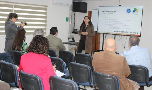 1° Taller de Acuerdo de Producción Limpia (APL) en Iquique