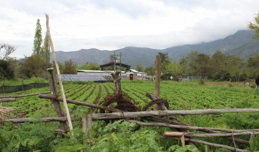 Beneficios de combinar energía solar y agricultura