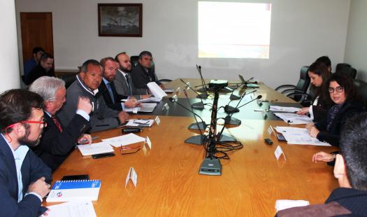 Aprueban declaración ambiental de parque solar en Monte Patria