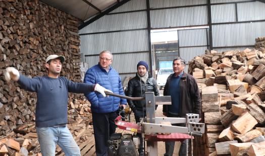 La Araucanía contará con fondo para impulsar Centros Integrales de Biomasa