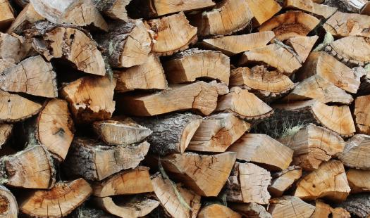 Región de Aysén cuenta con los tres primeros beneficiarios del Programa “Centro Integral de Biomasa” de Chile, que aumentarán la oferta de leña seca y aportarán a la descontaminación