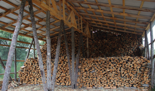  Programa Centro Integral de Biomasa sigue avanzando