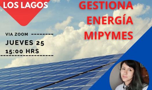 Seremi de Energía de Los Lagos llama a participar de la Charla Informativa del Concurso Gestiona Energía Mipymes