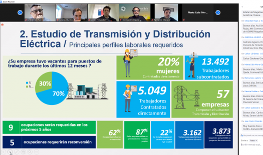Mesa de Capital Humano en Energía de Magallanes sumó cuatro nuevos actores y orienta esfuerzos hacia la formación de competencias para la industria del hidrógeno verde