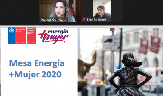 Mesa Energía Más Mujer presentó su plan de acción 2021