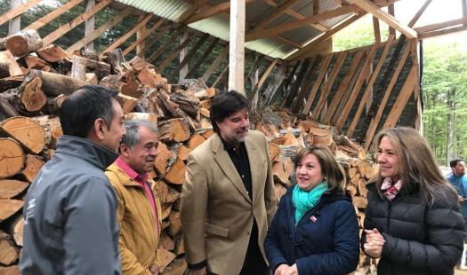 Más de 600 personas asistieron a talleres regionales por proyecto de ley de regularización de la leña