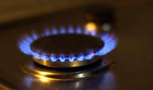 Rentabilidad 2014 de las distribuidoras de gas de red